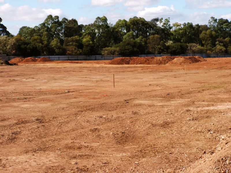 Site Clearing Operations